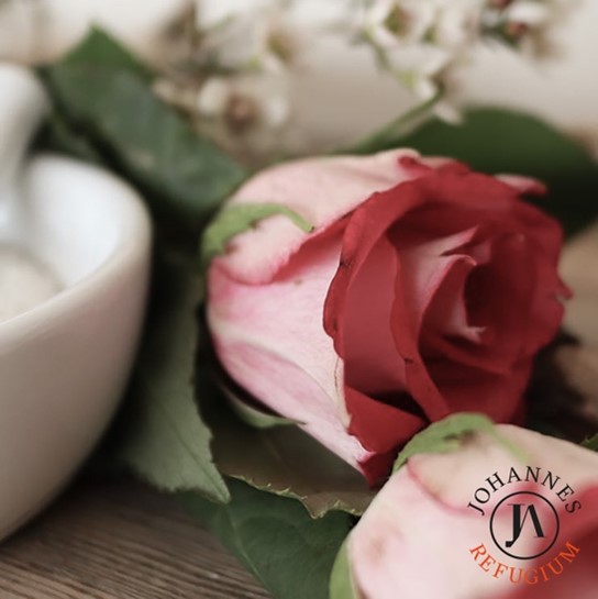 Symbolbild mit roten und rosafarbenen Rosenblüten liegend als dekoration auf einem Handtuch, im Hintergrund eine weiße Schale